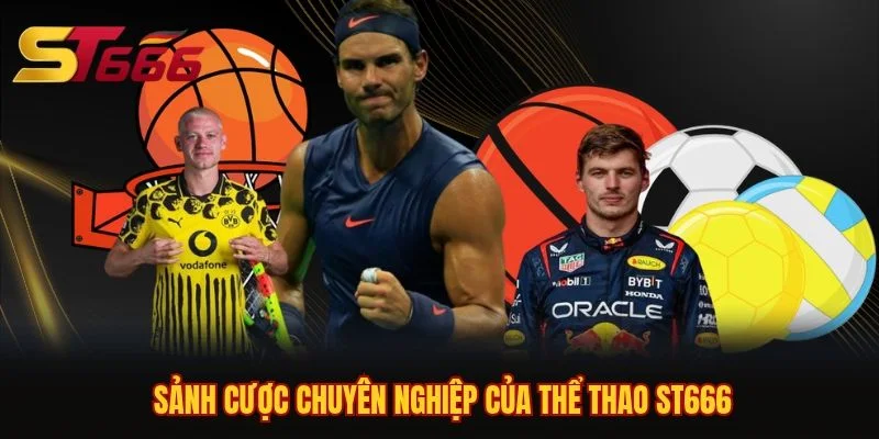 Sảnh cược chuyên nghiệp của thể thao ST666 Sảnh cược chuyên nghiệp của thể thao ST666